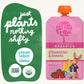 Pumpkin Tree Peter Rabbit Organics Strawberry and Banana Pure Fruit Snack, 4 Ounce (Pack of 10)