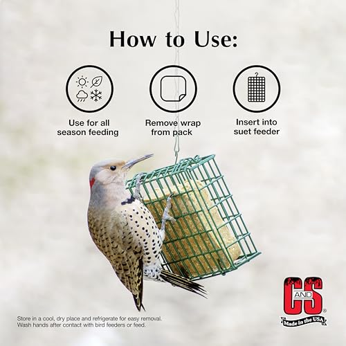 C&S Berry Suet Treat, Wild Bird Food for Robins, Blue Jays, Bluebirds, Tanagers, Thrushes and More, 8 Pack