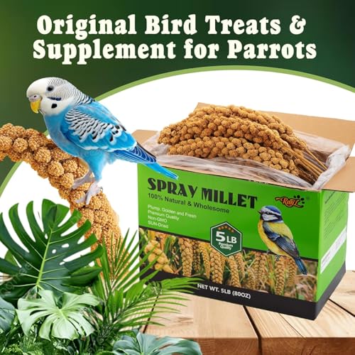 RANZ 5LBS Spray Millet Treat for Pet Birds, Hand-Harvested Bird Snack, Natural Sun-Dried Millet Spray for Parakeets, Parrots, Cockatiels, Lovebirds, Budgies, Finches, Canaries