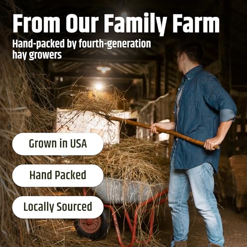 High Desert Alfalfa Hay, Protein Rich Soft Leaf Food for Young Growing Animals, Natural Rabbit Food and Guinea Pig Hay, Supports Digestive Health, Small Pet Supplies, Fresh Hand Packed 1 Lb Box