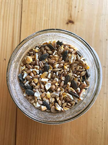 Ernst Grain & Livestock's Bird and Wildlife Feed – Perfect for Birds, Ducks, Squirrels, Turkeys, Rabbits, Geese, and Deer – Non-GMO Wild Animal & Bird Feed for Outside Feeders (46 Pound)