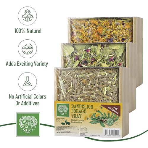 Small Pet Select Forage Tray Bundle, 3 Pack of Foraging Trays for Rabbit, Guinea Pig, Hamster or Bunny - Natural Treats, Dandelion, Flower, Herb Mix 2.5oz Each