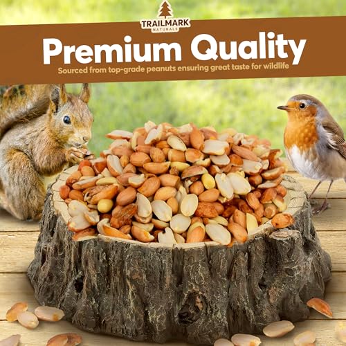 11 LB - Raw Shelled Peanuts for Squirrels, Out of Shell Peanuts for Birds and Wildlife- Squirrel Food, Wild Bird Seed - Grown in The USA
