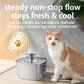 Veken Innovation Award Winner Stainless Steel Cat Water Fountain, 108oz/3.2L Automatic Pet Fountain Dog Water Dispenser with 3 Replacement Filters & Silicone Mat, Gifts for Cats, Dogs (Silver)