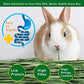 Timothy Hay 2.2LBS - Premium Hay for Rabbits Tortoise Guinea Pig Chinchilla - Dust Free Natural Fresh Hay (1.1 lbs, 2 Pack)