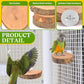 4PCS Natural Wood Round Bird Perch Platform for Cage - Parrot Perch Stand for Conures, Cockatiels, Budgies, Lovebirds, Parrotlets, Small Bird Cage Accessories