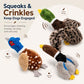 Dog Squeaky Toy Set – 4-Pack Durable Plush Duck, Pheasant, Goose for Small and Medium Dogs – Soft Bird Chew Toys with Crinkle Sound for Puppy Play, Interactive Training