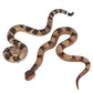 2Pcs Realistic Fake Snakes Toy Lifelike Rubber Rattlesnake Snake -to Keep Birds Away- Garden Plastic Scare Birds for Prank Stuff or Halloween Decorations Props