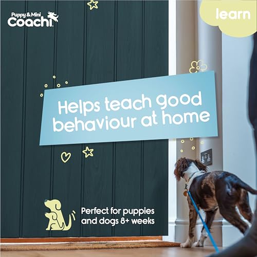 Coachi Puppy & Mini Training Line 2.5m - Toilet Training, Jumping Up, Running Off, Place Avoidance, Chewing, House Manners, Lightweight Indoor House