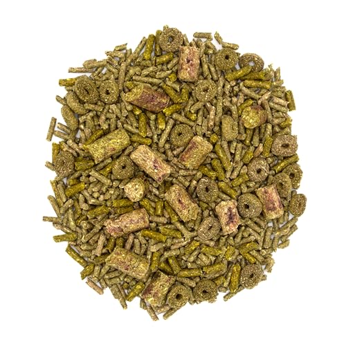 Oxbow Forage Wise Adult Rabbit Food, Engaging Variety Diet with Complete Nutrition in Every Piece, Timothy Hay Based Rabbit Food with Variety, Supports Digestion & Dental Health, Made in USA, 4 lb Bag