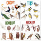 Bird Pun Coasters, Square Funny Coaster Set Coffee Coasters for Bird Lovers Kitchen Decor Housewarming Gifts (4 Pcs)