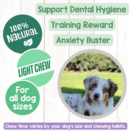 Nature Gnaws USA Turkey Tendon Rings for Dogs (8oz) - Delicious Grain Free Reward Snack for Small, Medium & Large Breeds - Premium Natural Dog Chew