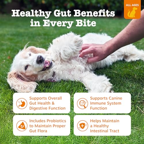 Zesty Paws Probiotics for Dogs - Digestive Enzymes for Gut Flora, Digestive Health, Diarrhea & Bowel Support - Clinically Studied DE111 - Dog
