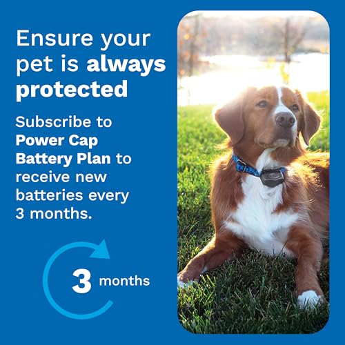 Invisible Fence Power Cap Battery - Original IFB Electric Fence Battery Replacement for Dog Collars - Long-Lasting - 2 Pack