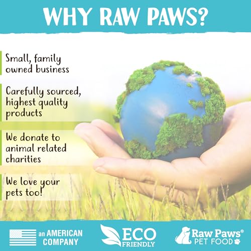 Raw Paws Smelt Freeze Dried Minnows for Cats & Dogs, 2-oz - Made in USA - Freeze Dried Fish for Cats - Single Ingredient Fish Dog Treats - Minnows Dog Treats