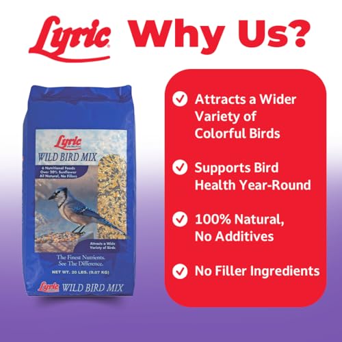 Lyric Wild Bird Mix - Includes Corn, Nuts, and Wild Bird Seed for Outside Feeders, Attracts Doves, Jays and Many More, 20 lb Bag