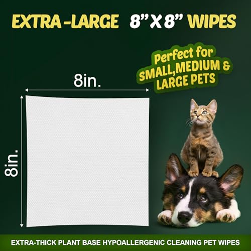 Petazy Dog Wipes for Paws and Butt – 400 Count (8x8in) Hypoallergenic, Deodorizing Pet Wipes for Dogs and Cats | Extra Large, Plant-Based, Lavender Scented | Includes 4 Grooming Glove Wipes