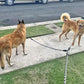 Double Dog Leash Coupler Heavy Duty Extension Rope for Two Large Dog | No Tangle 1/2" Thick Dual Dog Lead Splitter for Large Medium Dogs Over 40 lbs