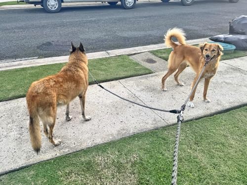 Double Dog Leash Coupler Heavy Duty Extension Rope for Two Large Dog | No Tangle 1/2" Thick Dual Dog Lead Splitter for Large Medium Dogs Over 40 lbs
