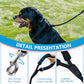 Dog Leash, Braided Rope Traction – Walking Training Lead for Medium/Large Dogs ((1/2") x 6FT, Black)