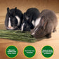 Premium Oat Hay for Pets - Dust Free Natural Green Fresh Pet Food Hay for Rabbits, Guinea Pigs, Chinchillas, Hamsters & Gerbils - 1.1lbs
