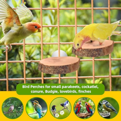 4PCS Natural Wood Round Bird Perch Platform for Cage - Parrot Perch Stand for Conures, Cockatiels, Budgies, Lovebirds, Parrotlets, Small Bird Cage Accessories