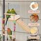 Bird Perches Platform Swing with Bird Mirror Climbing Ladder Birds Toys Cage Accessories for Cockatiels, Lovebirds, Pacific Parrotlets,Chinchilla, Hamster Play Gym Exercise Stand (with Mirror)