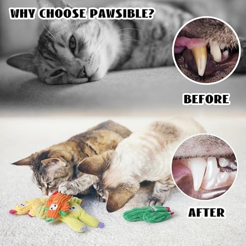 Pawsible Cat Toys for Indoor Cats, 100% Pure Organic Catnip-Filled Toys Without Cotton, Interactive Cactus Kitten Toy for Anxiety Relief, Soft Cute Teething &Chew Toys, 5 Pack