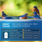 ADIOS! Bird Bath Cleaner for Outdoor Fountains and Bowls, Safely Cleans Metal, Glass and Stone (8oz)