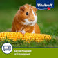 Vitakraft Mini Pops Microwavable Corn Cobs for Small Animals - Corn on The Cob Snack for Hamsters, Rabbits, & Guinea Pigs - Pet Treat & Enrichment Chew Toy - Popcorn for Small Animals (1lb)