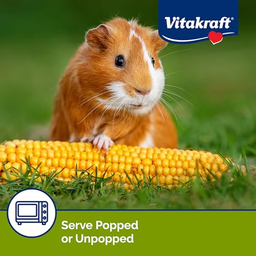 Vitakraft Mini Pops Microwavable Corn Cobs for Small Animals - Corn on The Cob Snack for Hamsters, Rabbits, & Guinea Pigs - Pet Treat & Enrichment Chew Toy - Popcorn for Small Animals (1lb)
