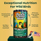 All Year Round Bird Seed Cylinders with Hole – All Season Wild Bird Food for Blue Jays, Cardinals, Doves, Finches & More – Balanced High Energy All Natural Blend, No Fillers – USA Made (4" x 7.75")