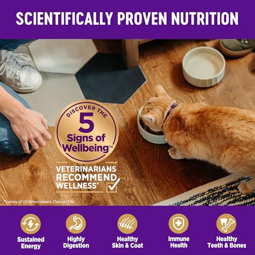 Wellness Complete Health Adult Dry Cat Food for Indoor and Outdoor Cats, Grain Free, Natural, Chicken & Chicken Meal (5.5 Pound Bag)
