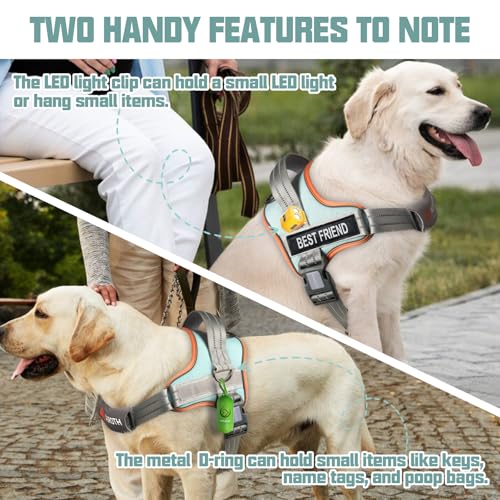 AUROTH Dog Harness and Leash Set, Soft Padded Service Dog Vest with 5.25FT Dog Leash, No Choke, Easy On Pet Vest, Adjustable Reflective No Pull Pet