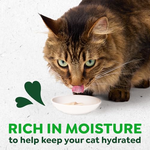 Greenies Feline Smart Purees Healthy Indoor and Skin & Fur Health Lickable Cat Treats, with Real Chicken, with Real Salmon, 0.49 oz. Tubes, 40 Count