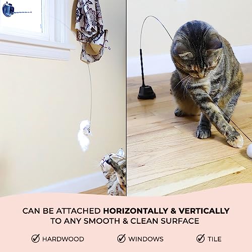 Whiskertons Interactive Bird Simulation Cat Toy Set, Interactive Cat Toys for Indoor Cats, Cat Feather Toy, Self-Holding Suction Base, 5 Replacement