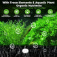 Root Tabs, Aquarium Plant Fertilizer, Aquarium Water Care Tabs, 100 Tabs Aquarium Plant Food Safe for Fish and Shrimp, Aquatic Plant Fertilizer for Planted Aquarium Substrate (100)