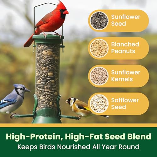 Happy Wings No Grow Bird Seed Mix 5lb - Songbird Bird Seed with Sunflower, Safflower & Peanuts - No Mess Birdseed for Outside Feeders - Suitable Birdseed for Wild Birds