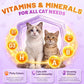 Taurine for Cats Vitamins Treats, 15 in 1 Cat Multivitamin Support Joint, Skin Coat, Digestion, Immunity & Energy, 500 Crunchy & Creamy Chews with Essential Vitamin for Cats All Ages (90-Day Supply)