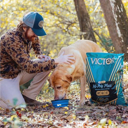 VICTOR Super Premium Dog Food – Hi-Pro Plus Dry Kibble – High Protein Dog Food with 30% Protein – Beef, Chicken, Pork, Fish Meals, Gluten Free - for