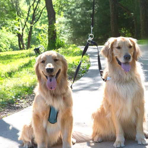 Caldwell's Pet Supply Co. Leash Coupler, Two Dog Leash Splitter to Split Leashes for Walking 2 Dogs, Tangle Free Double Dog Leashes Connector