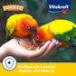 Sunseed Vita Prima Conure Food – Nutrient-Rich Blend with Fruits, Vegetables & Seeds Supports Healthy Feathers, Eyes & Active Energy – 3 lb Bag