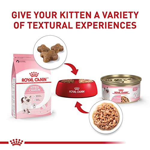 Royal Canin Feline Health Nutrition Kitten Thin Slices in Gravy Cat Food, 3 oz (Pack of 12)