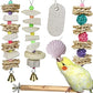 Parrot Chewing Toys (6 pcs) Natural Cuttlebone Bird Beak Trimmer Grinding Stone Lava Block Calcium Stone Bird Perch Cage Toys for Small and Medium Parakeets, Cockatiels, Conures, Budgies, Lovebirds