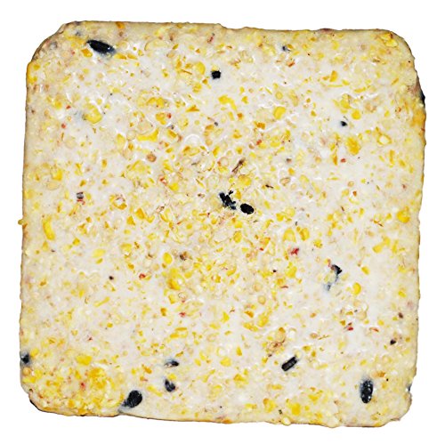 ST. ALBANS BAY SUET PLUS Suet Cake Variety Packs, 11 oz. Wild Bird Suet Cakes (High Energy, 10 Pack)