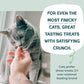 Shameless Pets Crunchy Cat Treats - Kitty Treats for Cats with Digestive Support, Natural Ingredients for Kittens, Healthy Flavored Feline Snacks