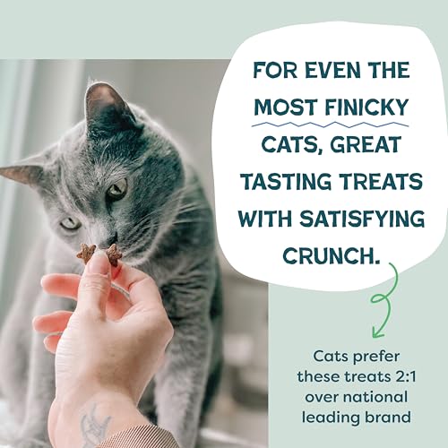 Shameless Pets Crunchy Cat Treats - Kitty Treats for Cats with Digestive Support, Natural Ingredients for Kittens, Healthy Flavored Feline Snacks