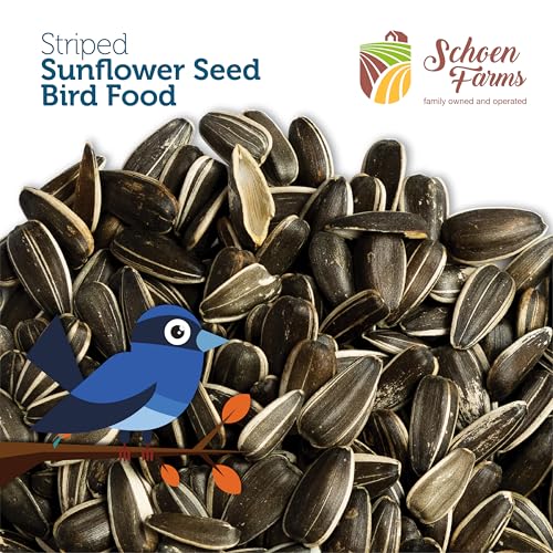 Schoen Farms Striped Sunflower Seeds – Hulled Wild Bird Food – 6 lb Bag – Premium Bird Seed for Cardinals, Jays & Finches