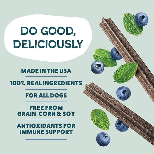 Shameless Pets Blueberry & Mint Dental Chews for Dogs, 8 Chews - Natural Dog Teeth Cleaning Treats with Fresh Breath Benefits | Grain-Free Dental