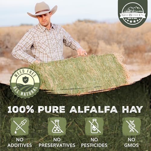 9lb Farm Fresh, USA Grown, Organic Alfalfa Hay for Rabbits, Guinea Pigs, Chinchillas, Goats, Hamsters & Ferrets - Rabbit Food Rich in Protein & Fiber - Just Dried, Hand-Selected